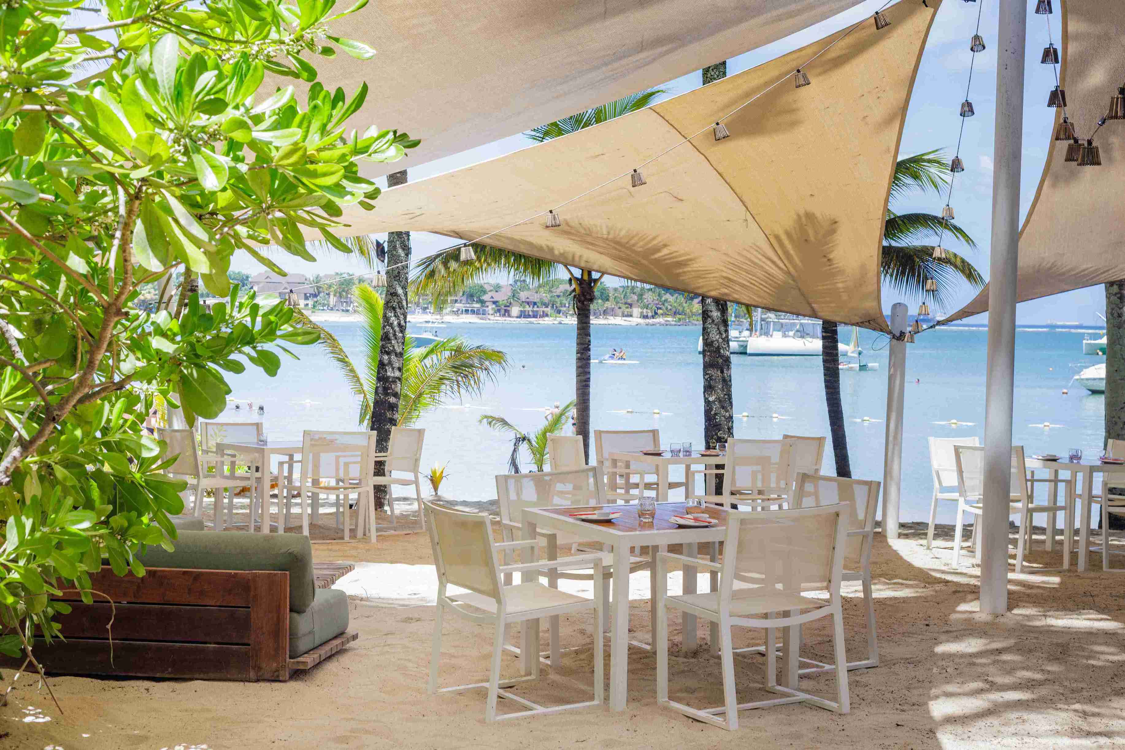 The Ravenala Attitude-1